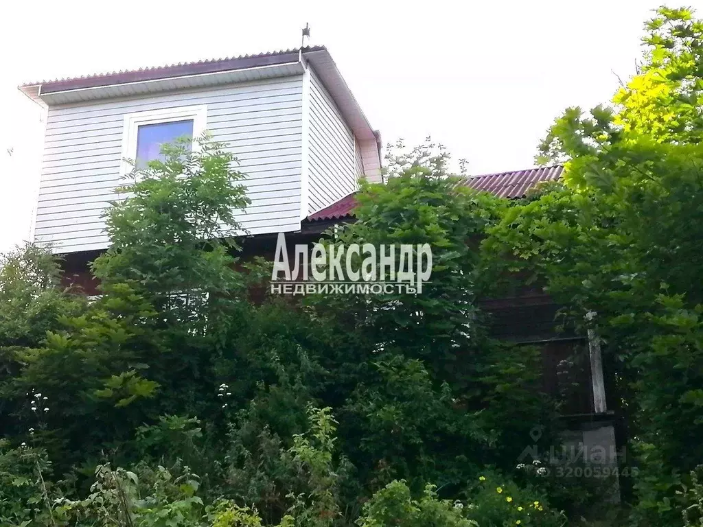 Дом в Ленинградская область, Приозерский район, Сосновское с/пос, ... - Фото 1