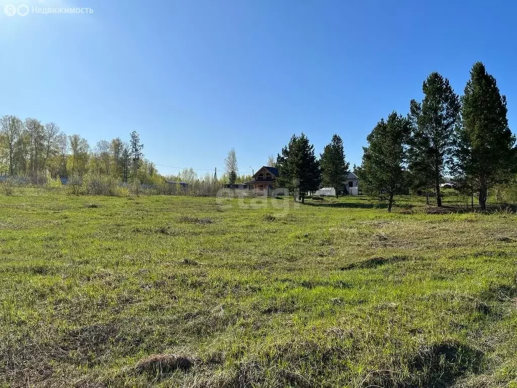 Участок в Плотниковский сельсовет, ДНТ Рябинка, Пихтовая улица (12 м) - Фото 1