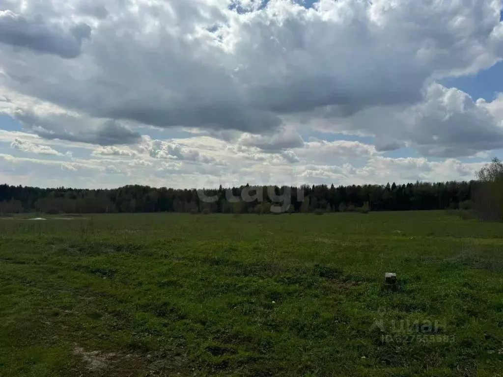 Участок в Московская область, Пушкинский городской округ, д. ... - Фото 1