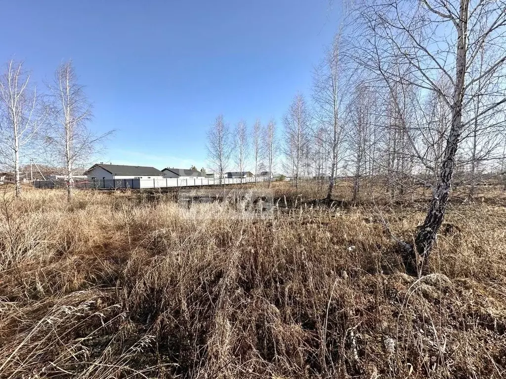 Участок в Челябинская область, Сосновский район, Кременкульское с/пос, ... - Фото 0