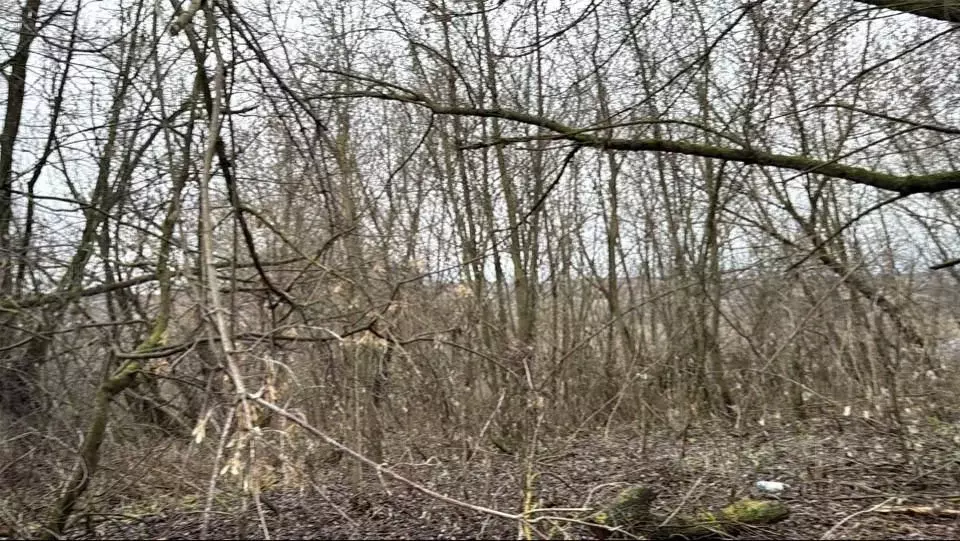 Участок в Московская область, Кашира городской округ, д. Ледово  (5.0 ... - Фото 1