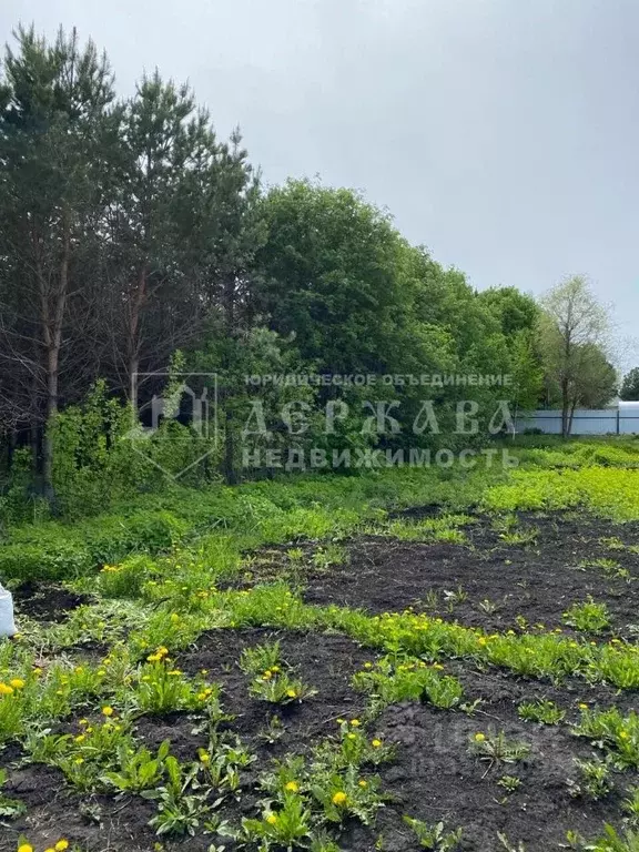 Участок в Кемеровская область, Кемеровский муниципальный округ, д. ... - Фото 1