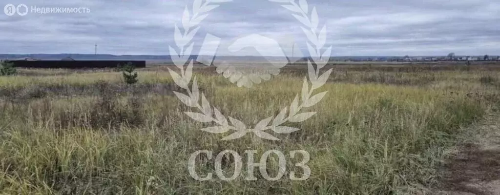 Участок в Калужская область, Дзержинский муниципальный округ, сельское ... - Фото 2