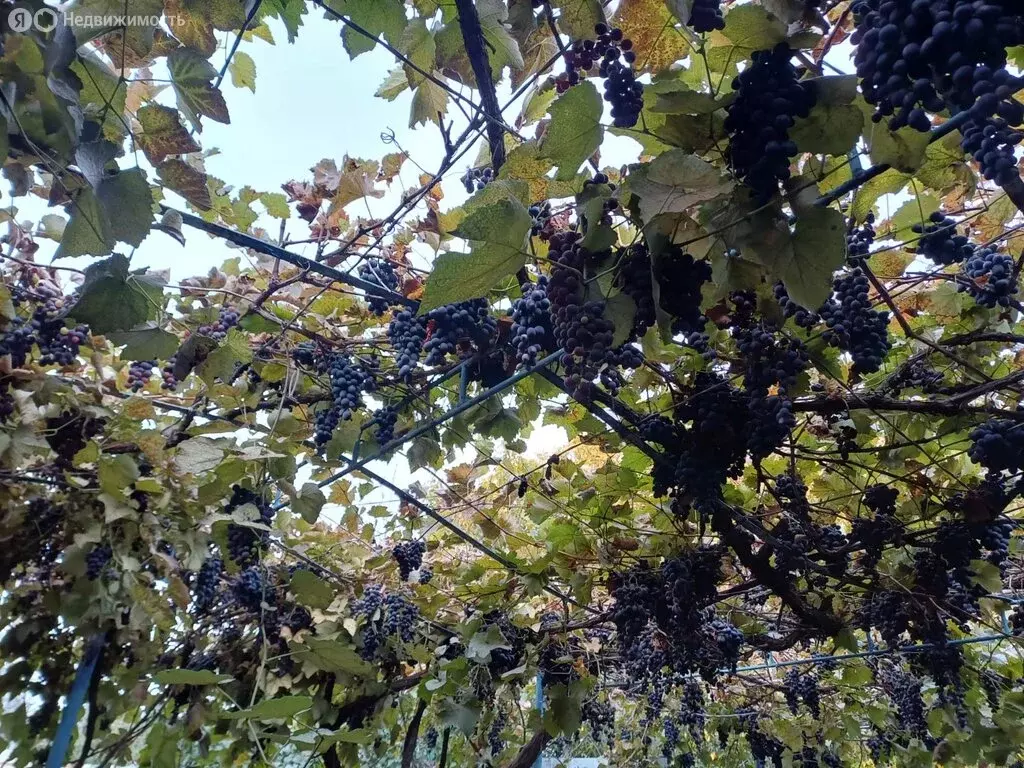 Дом в Михайловск, улица Будённого, 70 (100 м) - Фото 2