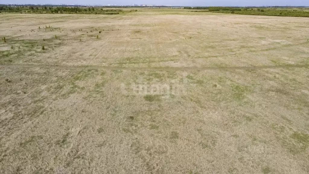Участок в Тюменская область, Тюменский муниципальный округ Тобольский ... - Фото 1