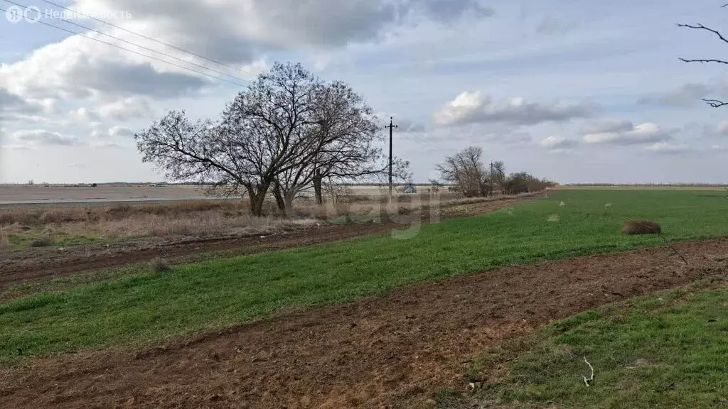 Участок в Сакский район, Ромашкинское сельское поселение, село Колоски ... - Фото 1