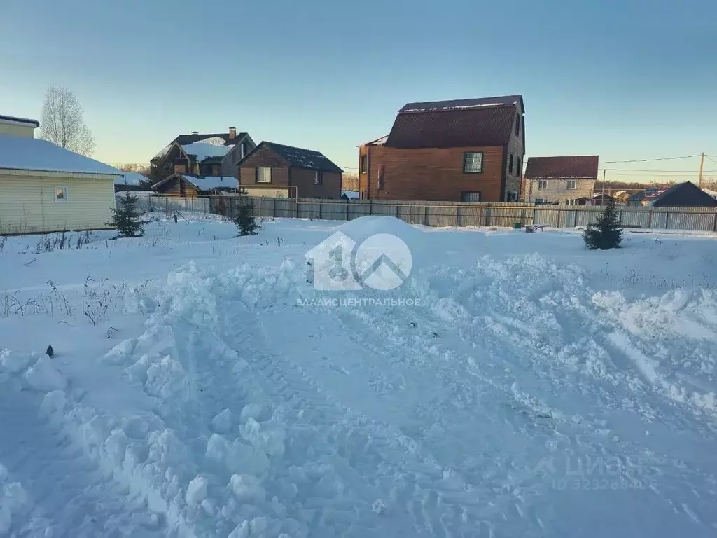 Участок в Новосибирская область, Новосибирский район, Кудряшовский ... - Фото 2