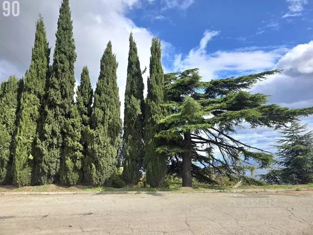 Участок в Крым, Алушта муниципальный округ, с. Кипарисное ул. ... - Фото 2