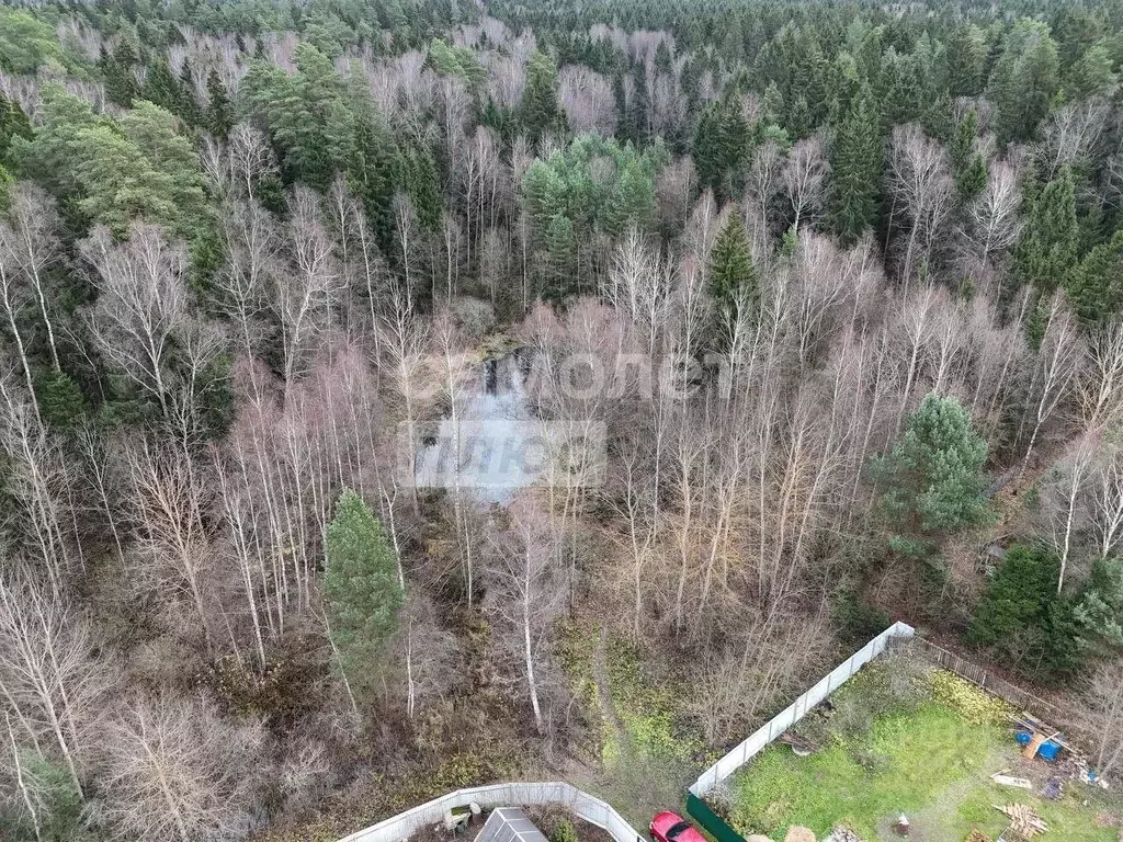 Участок в Калужская область, Боровский муниципальный округ, Восход ... - Фото 1