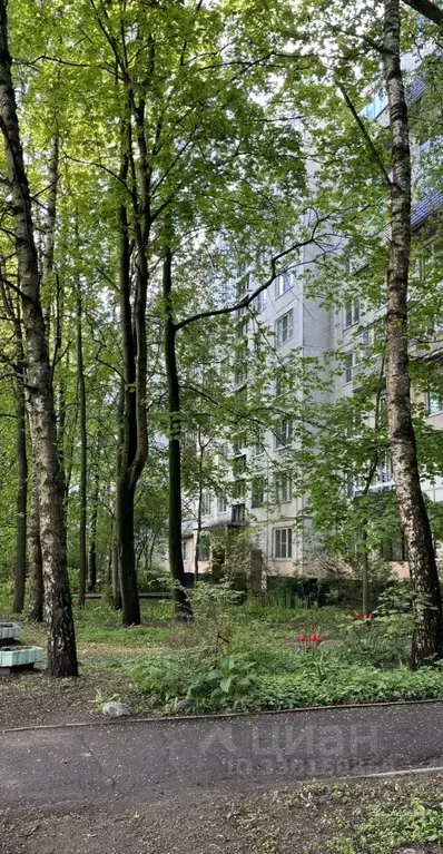 1-к кв. Санкт-Петербург Гражданский просп., 114К5 (30.7 м) - Фото 2