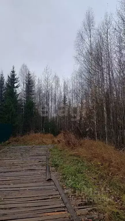Участок в Коми, Сыктывдинский район, Выльгорт муниципальное ... - Фото 0