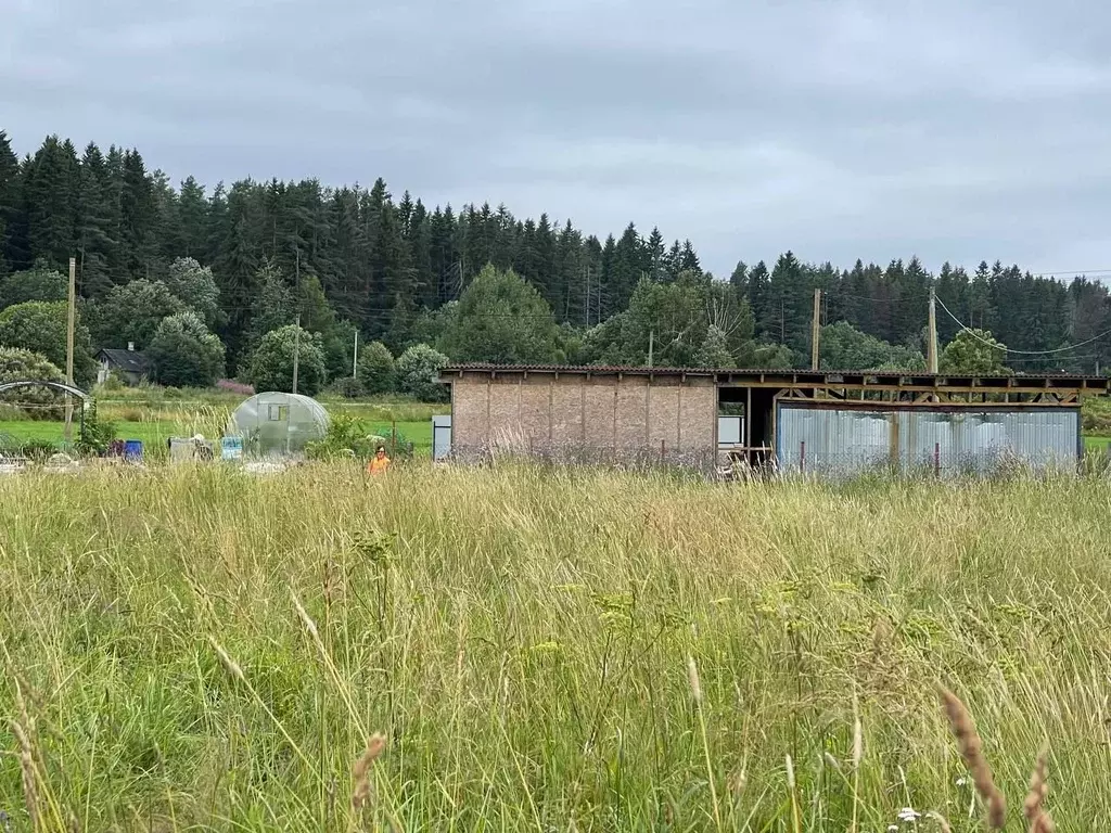 участок в ленинградская область, приозерский район, мельниковское . - Фото 1