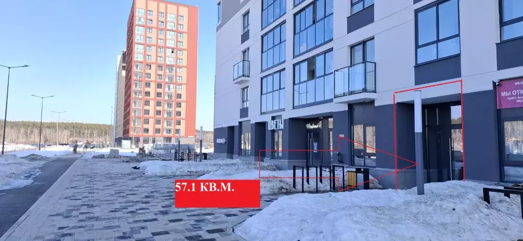 Помещение свободного назначения в Свердловская область, Екатеринбург ... - Фото 1