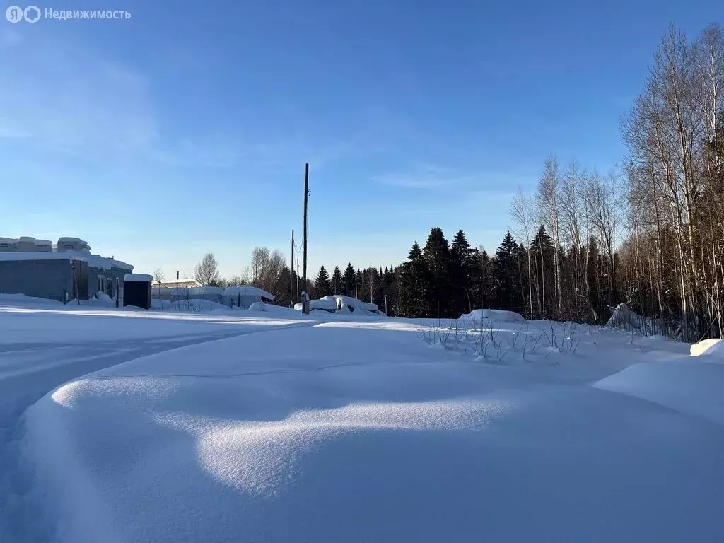 Участок в Березники, Рябиновая улица, 4 (14 м) - Фото 1