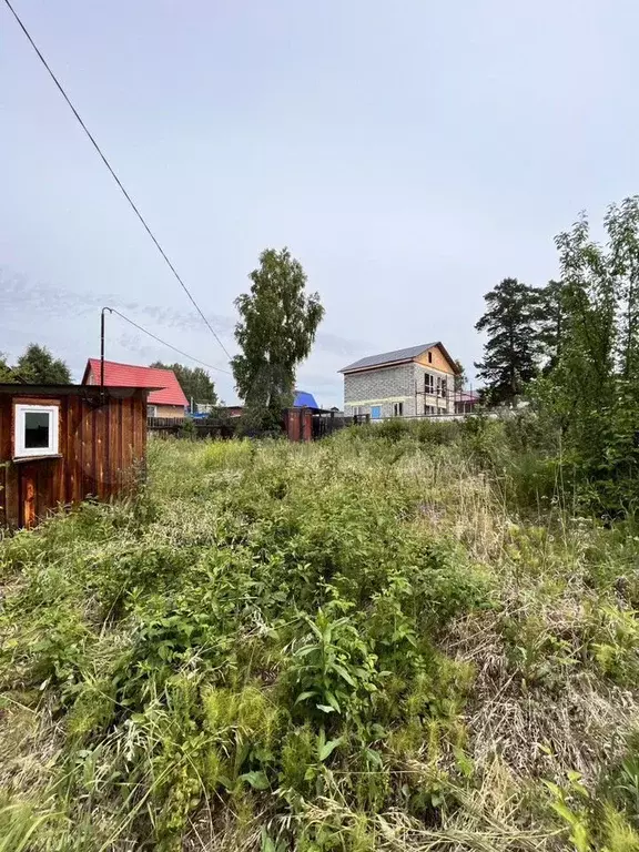 Участок 4,29 га (СНТ, ДНП) - Фото 1