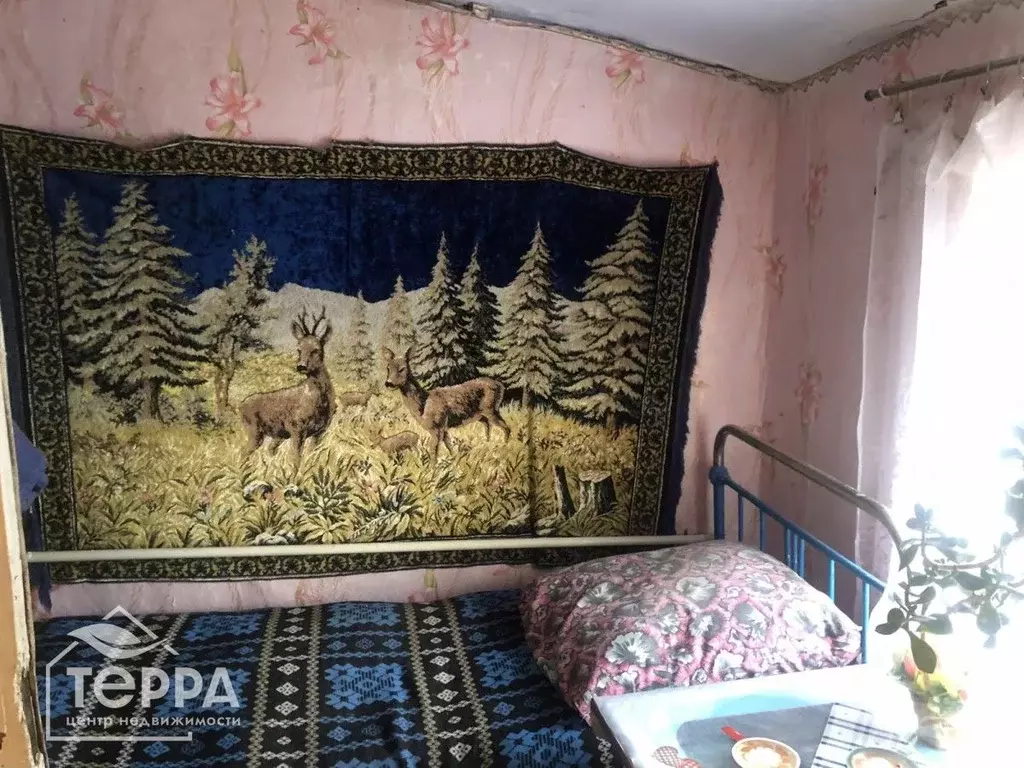 Дом в Крым, Сакский район, Суворовское с/пос, с. Великое ул. ... - Фото 2