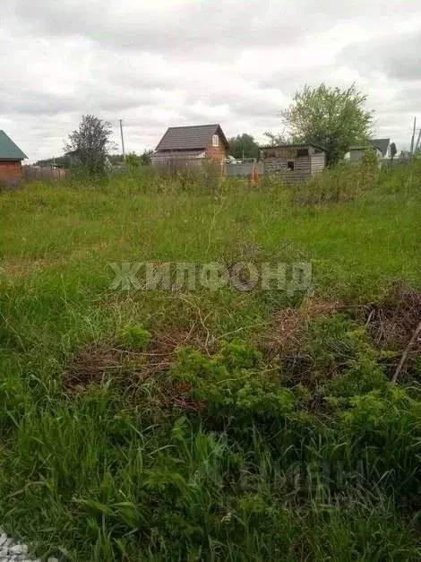 Участок в Новосибирская область, Бердск Отрадное СНТ, ул. 5-я (5.0 ... - Фото 2