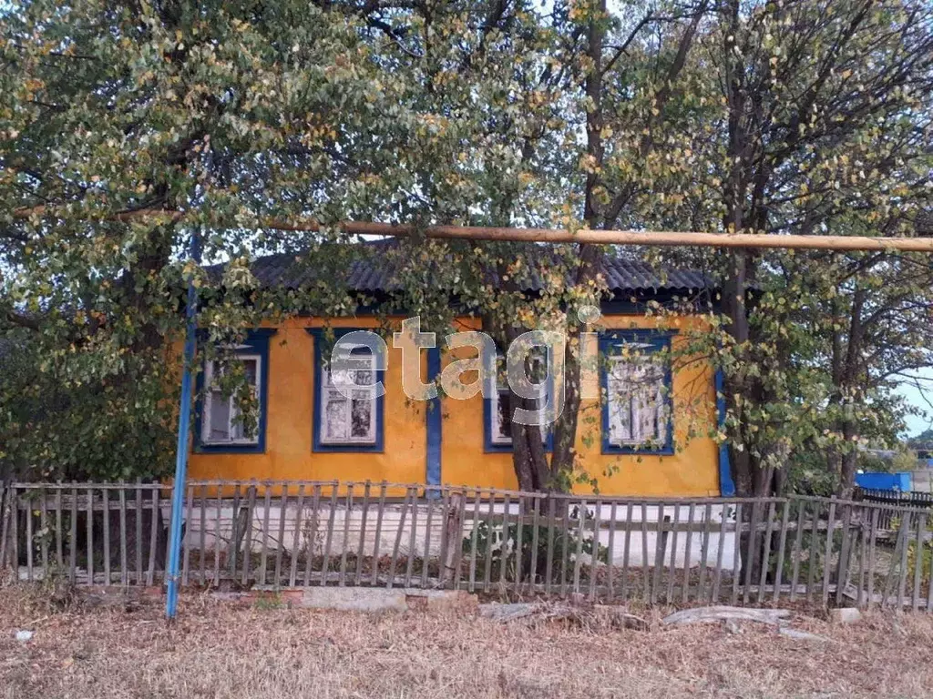 Дом в Белгородская область, Красногвардейский район, Веселовское ... - Фото 1