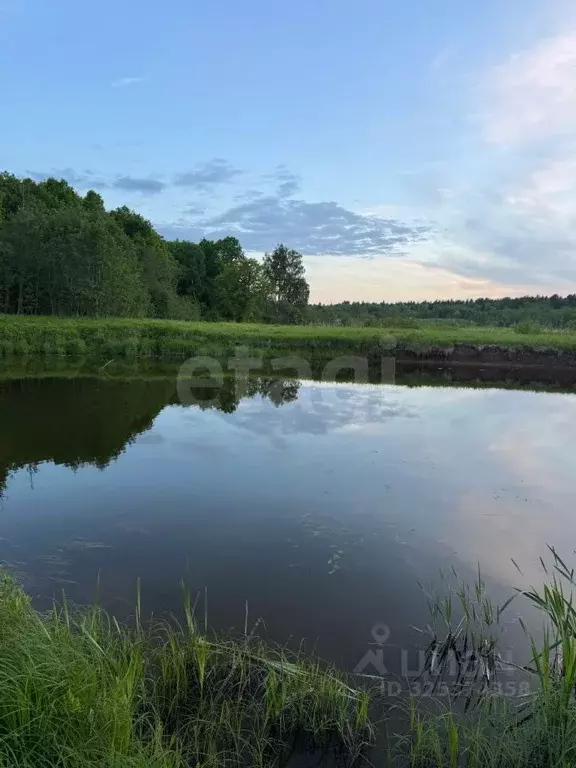 Участок в Костромская область, Красносельский район, Шолоховское ... - Фото 1