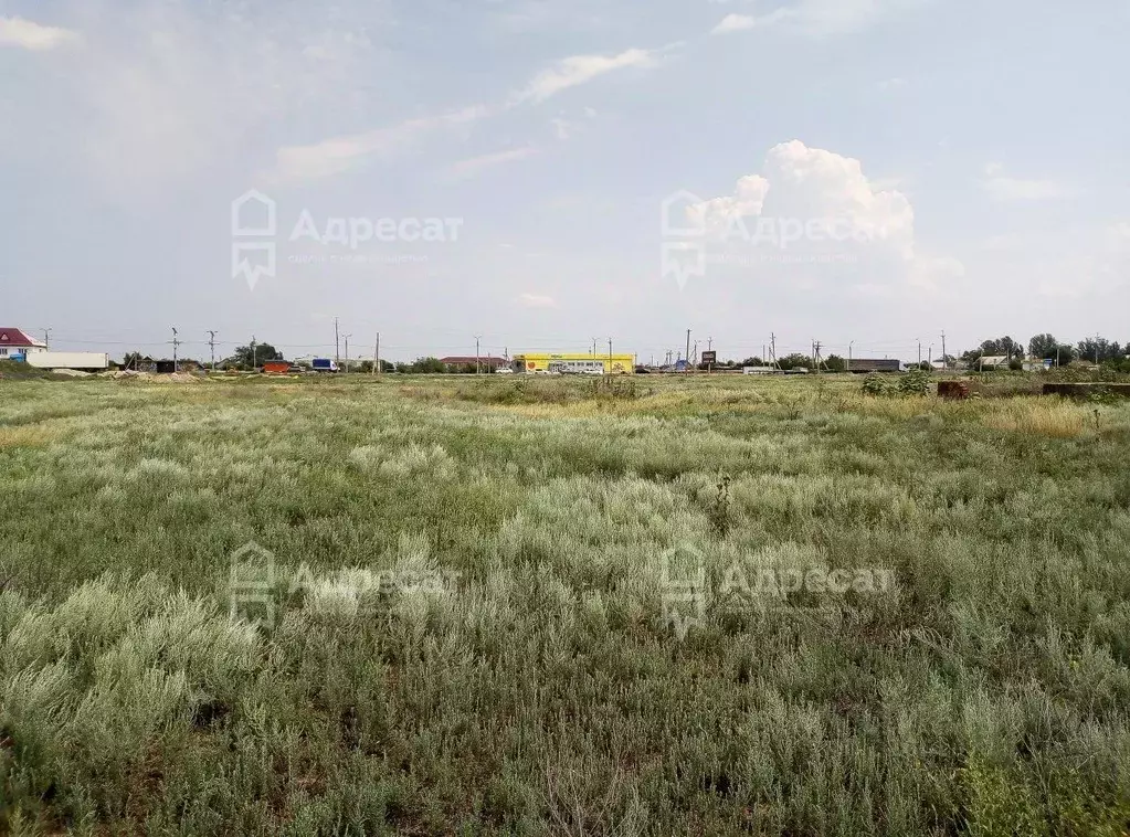 Участок в Волгоградская область, Светлоярский район, с. Большие ... - Фото 1