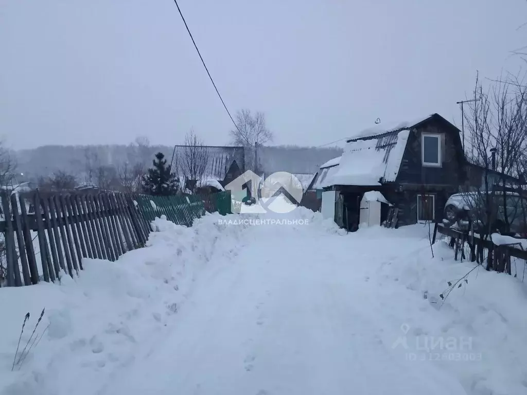 Участок в Новосибирская область, Новосибирский район, Каменский ... - Фото 0