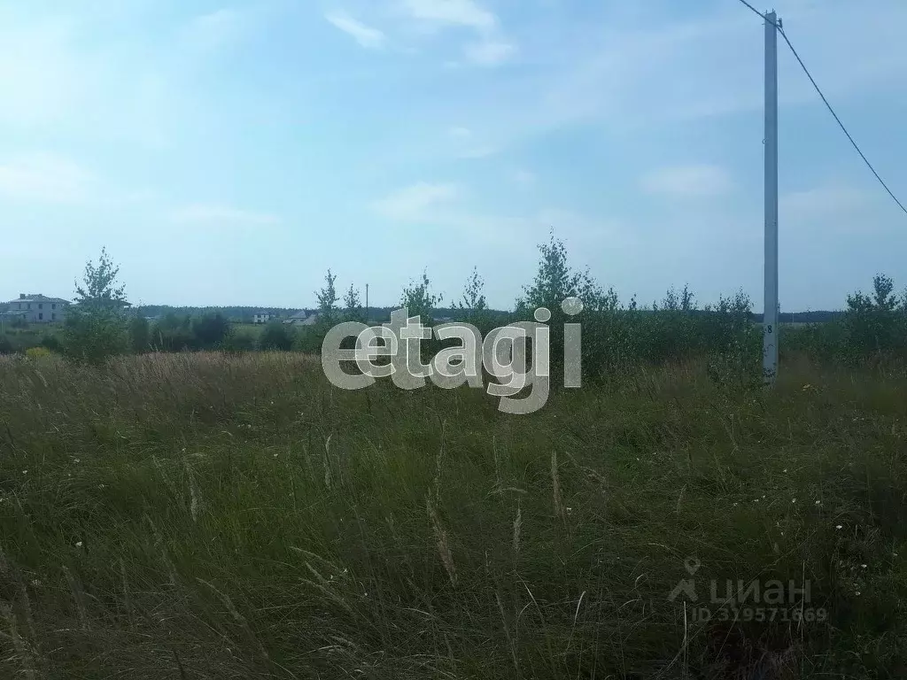 Участок в Владимирская область, Селивановский муниципальный округ, д. ... - Фото 1