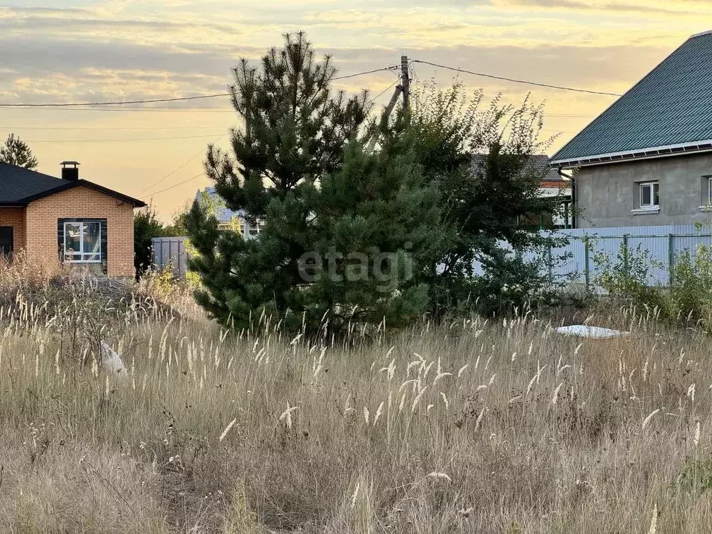 Участок в Воронежская область, с. Новая Усмань ул. Космонавтов (12.0 ... - Фото 0