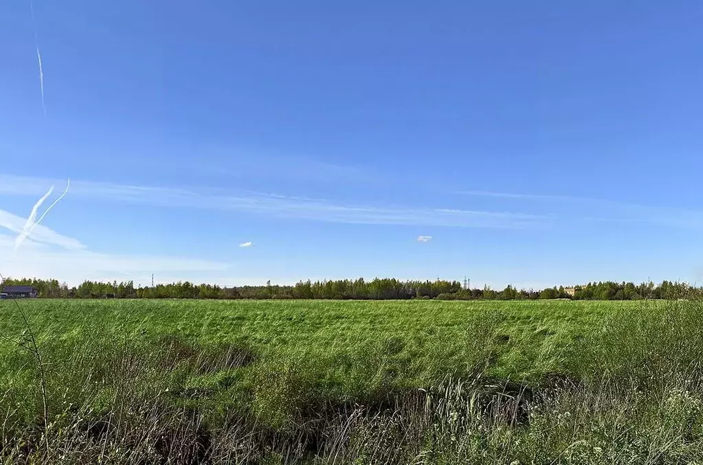 Участок в Санкт-Петербург, Санкт-Петербург, Петергоф ш. Ольгинское, ... - Фото 1