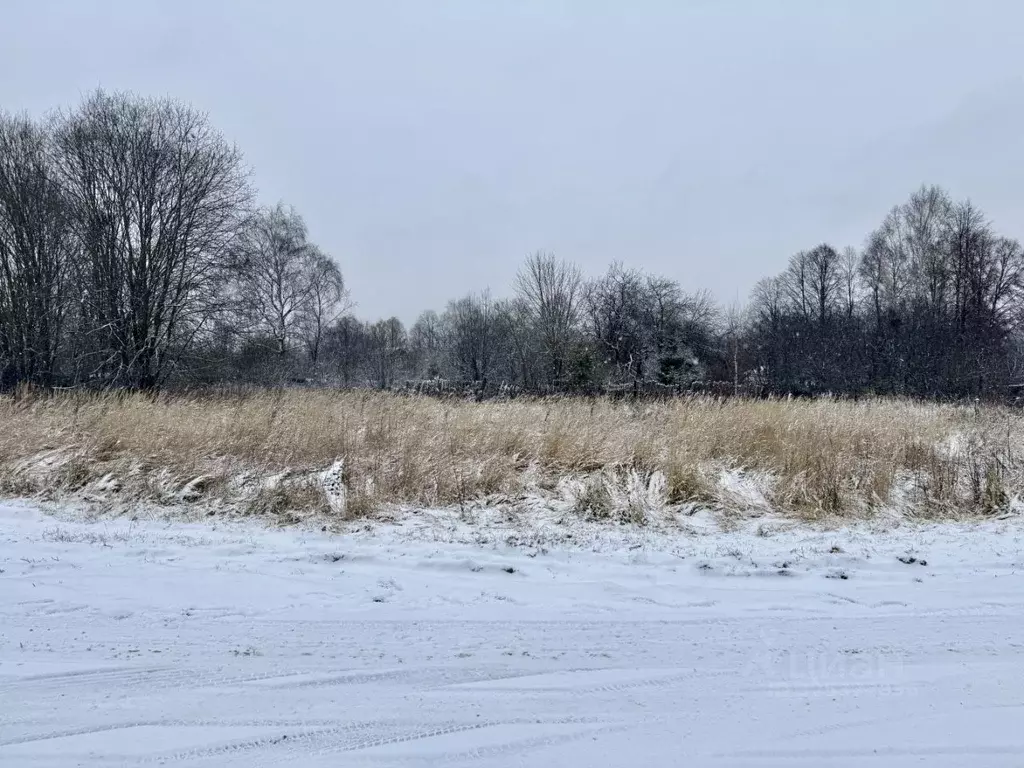 Участок в Московская область, Ступино городской округ, д. Шелково  ... - Фото 2