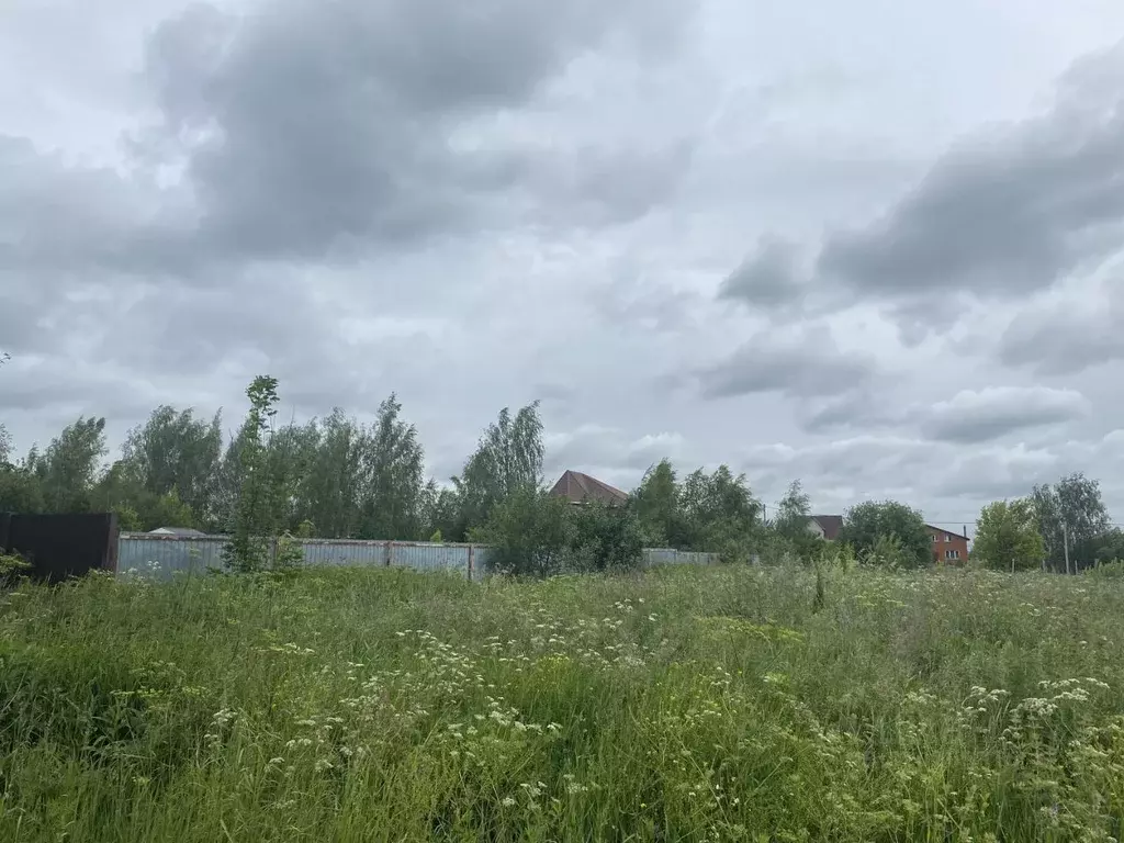 Участок в Московская область, Луховицы муниципальный округ, с. ... - Фото 0