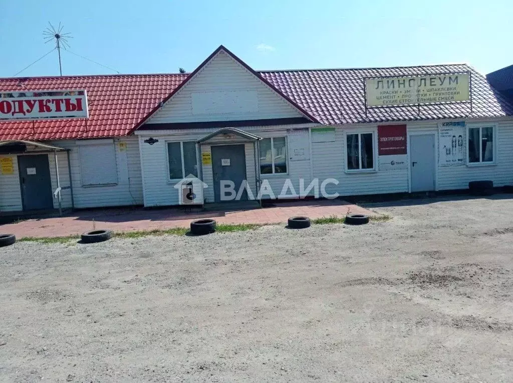 Торговая площадь в Пензенская область, с. Наровчат ул. ... - Фото 1