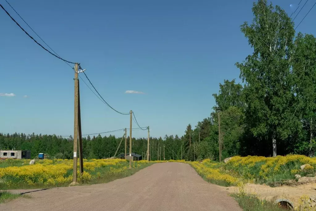 Участок в Ленинградская область, Приозерский район, пос. Сосново ул. ... - Фото 1
