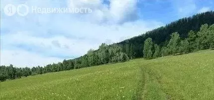 Участок в Чемальский район, село Анос (820 м) - Фото 2