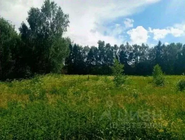 Участок в Московская область, Коломна городской округ, с. Андреевское  ... - Фото 1