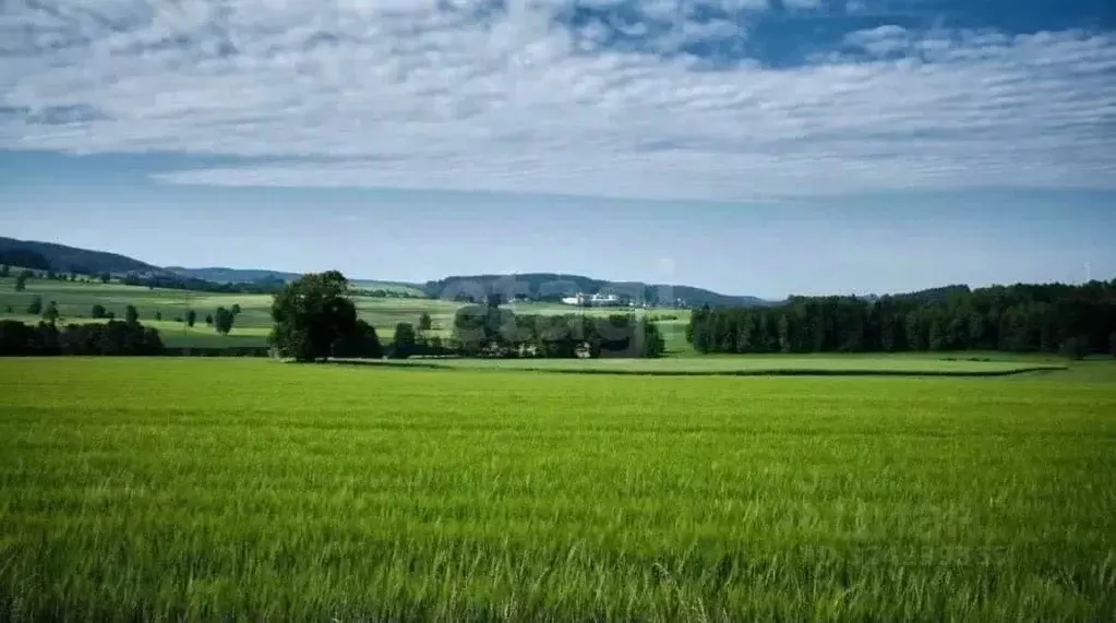 Участок в Башкортостан, Уфа № 37 ОСТ ОАО УМПО КС, 220 (15.0 сот.) - Фото 2