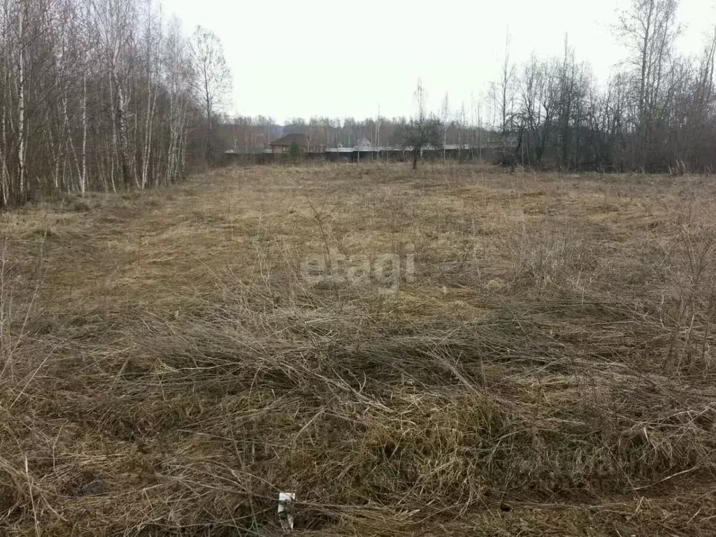 Участок в Калужская область, Дзержинский район, Совхоз Чкаловский ... - Фото 0