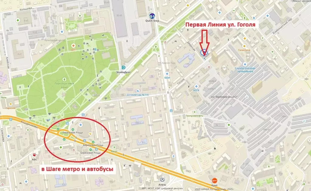 Помещение свободного назначения в Новосибирская область, Новосибирск ... - Фото 1