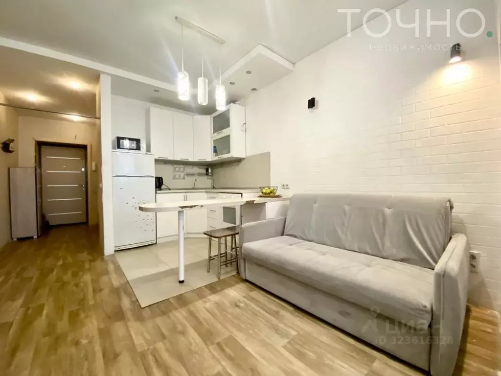 Студия Пензенская область, Пензенский район, Засечный сельсовет, с. ... - Фото 1