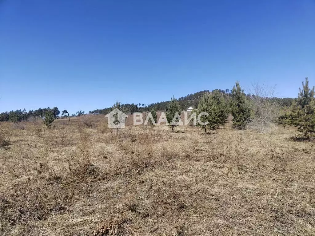 Участок в Бурятия, Улан-Удэ Октябрьское ДНТ, ул. Петербужская, 135 ... - Фото 2