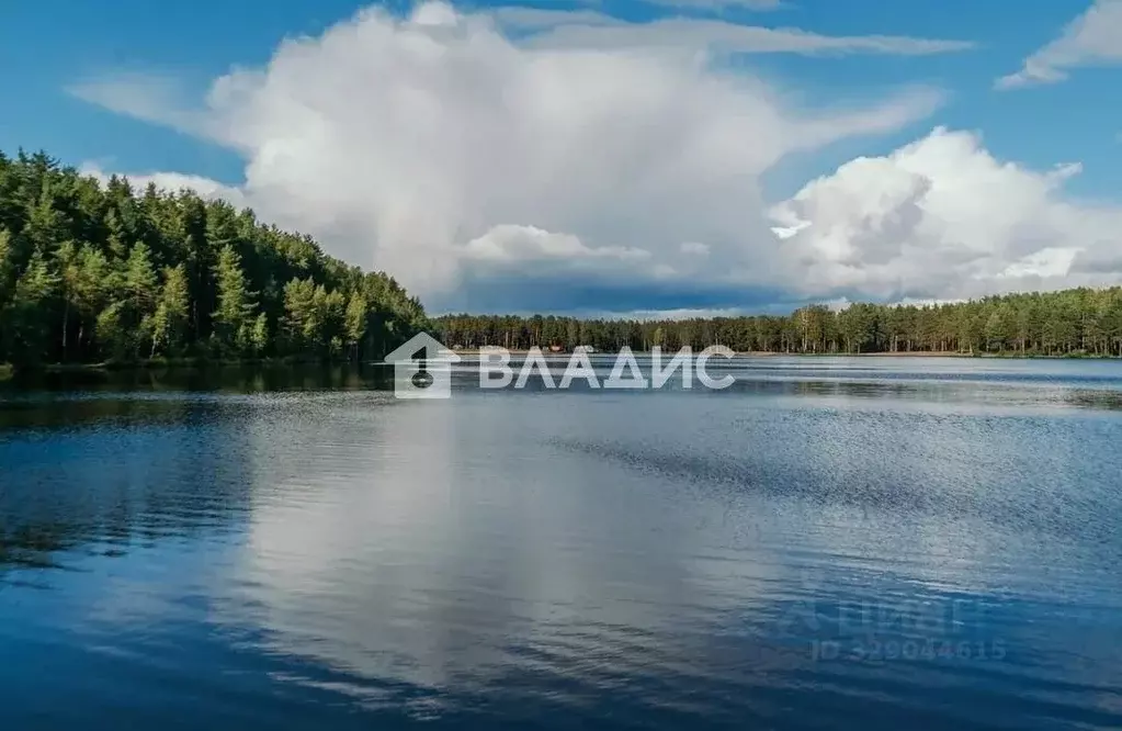 Участок в Ленинградская область, Всеволожский район, Колтушское ... - Фото 2