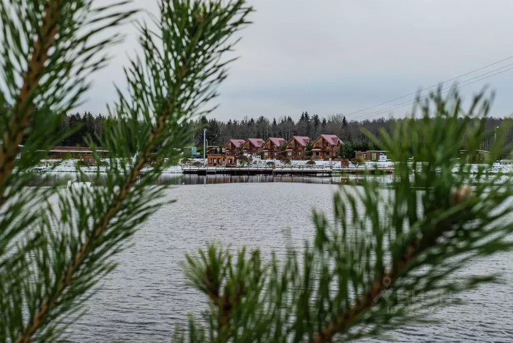 Дом в Ленинградская область, Отрадное Кировский район, пос. Петрушино, ... - Фото 2