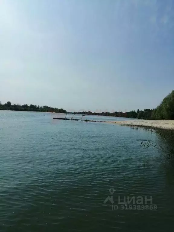 Участок в Ростовская область, Октябрьский район, Бессергеневское ... - Фото 0