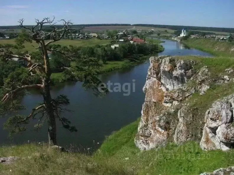 Дом в Свердловская область, Первоуральск городской округ, д. Каменка ... - Фото 1