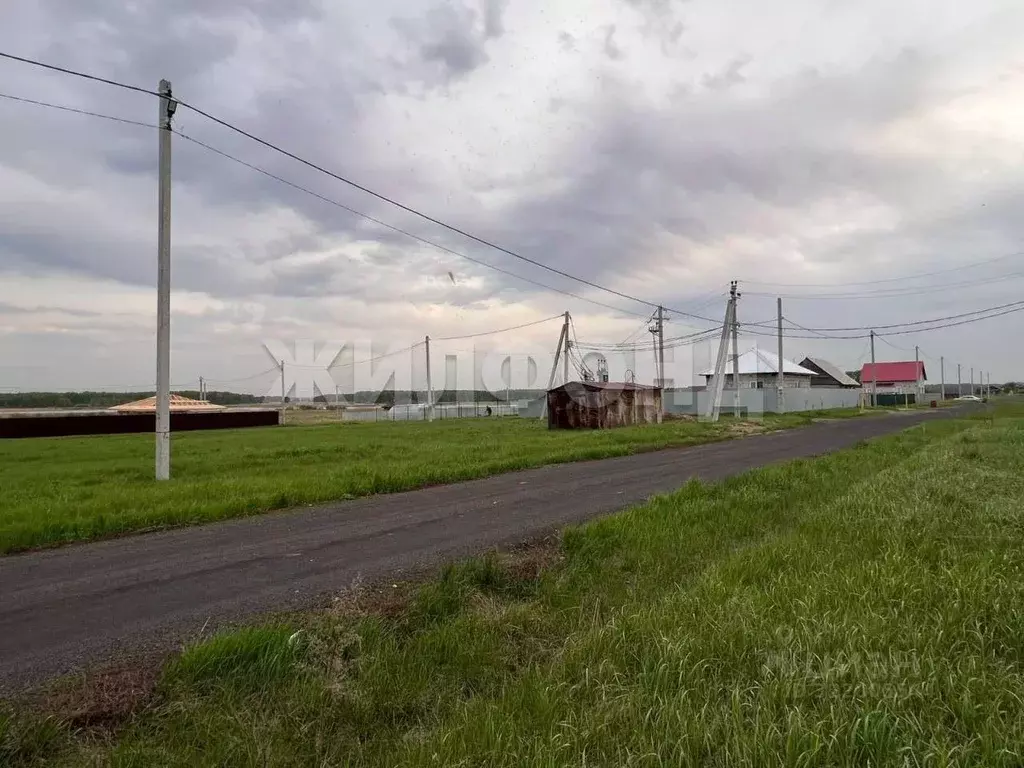 Участок в Новосибирская область, Ордынский район, с. Новопичугово ... - Фото 2