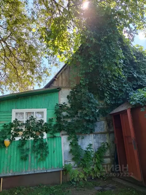 Участок в Калужская область, Бабынинский муниципальный округ, ... - Фото 1