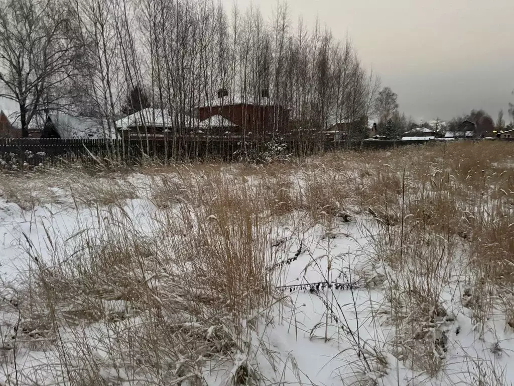 Участок в Московская область, Ногинск Богородский городской округ, ул. ... - Фото 0