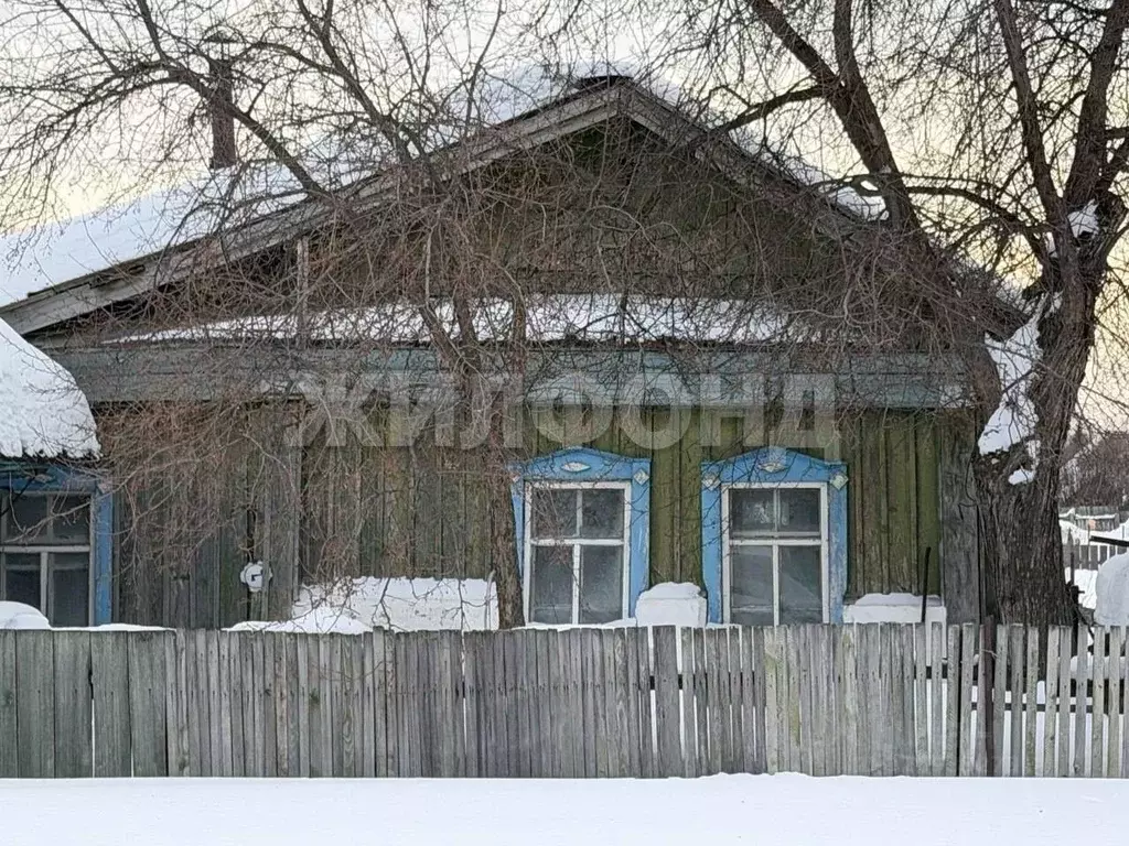Дом в Новосибирская область, Ордынский район, с. Красный Яр Сибирская ... - Фото 1