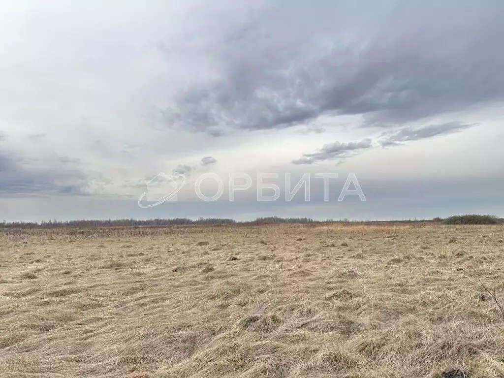 Участок в Тюменская область, Тюмень  (909.0 сот.) - Фото 1