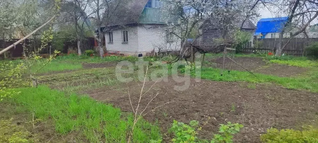 Дом в Брянская область, Брянский район, Супоневское с/пос, Чайка СДТ  ... - Фото 0