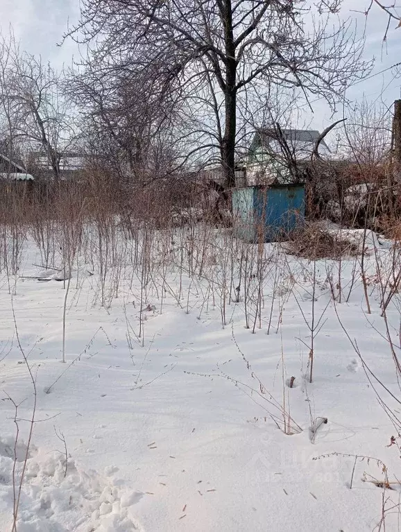 Дом в Челябинская область, Челябинск Дружба СНТ,  (10 м) - Фото 1